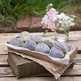 经典《巫术：疯狂领主的试验场》3D重制版将推实体版 